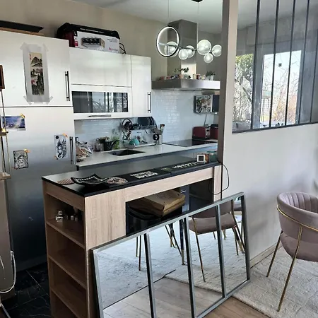 Apartman Rooftop Hyper-centre Toulouse